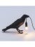 Lampada Seletti Bird Lamp Bird Lamp Waiting Black 14735