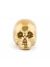 Scultura Seletti Memorabilia Gold My Skull 10415