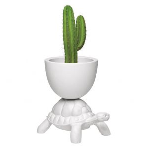 Fioriera Qeeboo Turtle Carry Planter and Champagne Cooler 36004